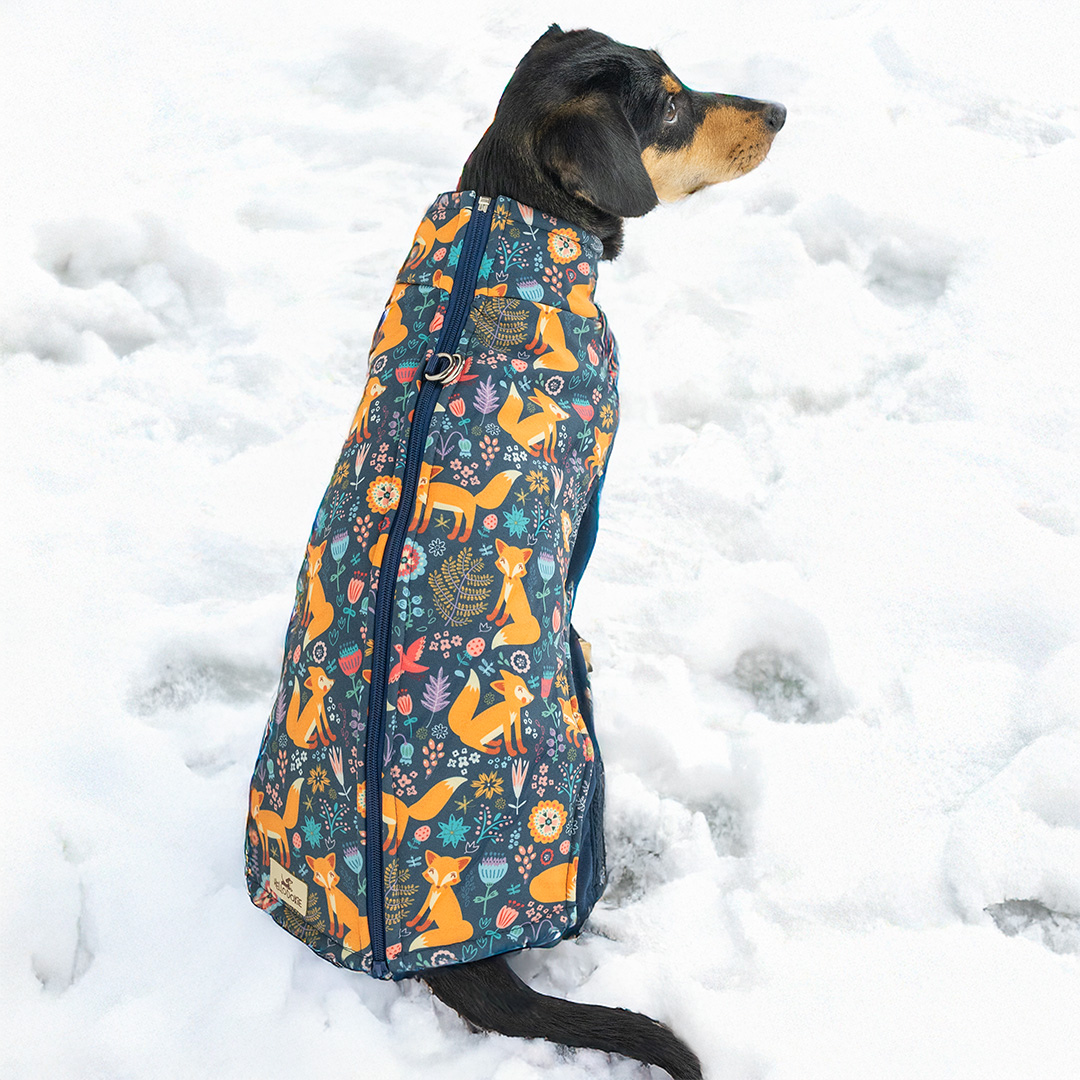 FoxyTraum Dackel-Wintermantel