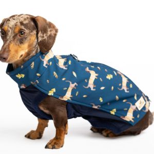 Dackelkleidung, dackelmantel, dackelmantel herbst, dackelkleidung herbst, dackelmantel softshell, dackelmantel wasserabweisend